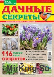 Дачные секреты №12 2016