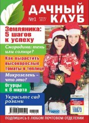 Дачный клуб №1 2017