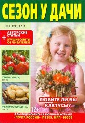 Сезон у дачи №1 2017