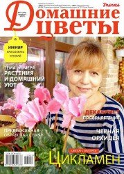 Домашние цветы №2 2017