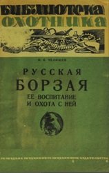 Русская борзая, ее воспитание и охота с ней