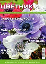 Цветники в саду №3 2016