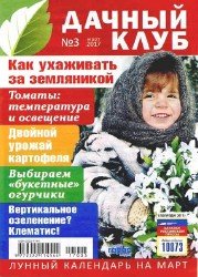 Дачный клуб №3 2017