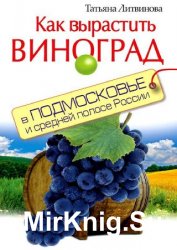 Как вырастить виноград в Подмосковье и средней полосе России