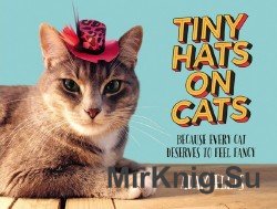 Tiny Hats on Cats: Because Every Cat Deserves to Feel Fancy