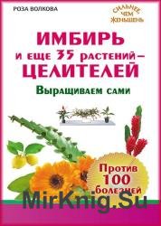 Имбирь и еще 35 растений-целителей. Выращиваем сами