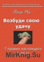 Возбуди свою удачу. 7 правил настоящего успеха