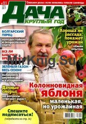 Дача круглый год №11 2017