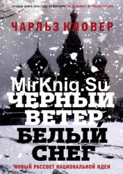 Черный ветер, белый снег. Новый рассвет национальной идеи