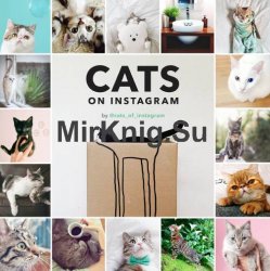 Cats on Instagram