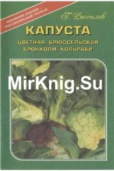 Капуста: цветная, брюссельская, брокколи, кольраби