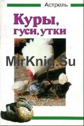 Куры, гуси, утки