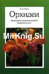 Орхидеи. Выращивание в домашних условиях. Разведение и уход