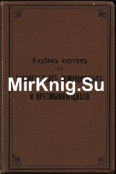 Альбом картин по зоологии рыб, земноводных и пресмыкающихся