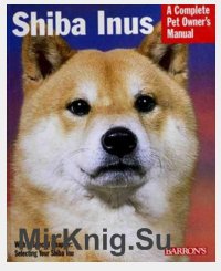 Shiba Inus