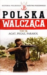 Historia Polskiego Panstwa Podziemnego - Polska Walczaca Tom 18