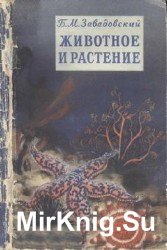 Животное и растение