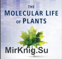 The Molecular Life of Plants