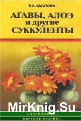 Агавы, алоэ и другие суккуленты