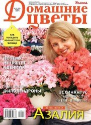 Домашние цветы №11 2017