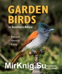 Garden Birds in Southern Africa