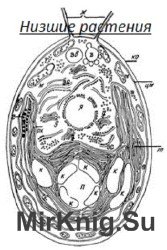 Низшие растения