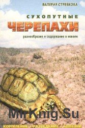 Сухопутные черепахи: разнообразие и содержание в неволе