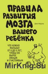 Правила развития мозга вашего ребенка. Что нужно малышу от 0 до 5 лет, чтобы он вырос умным и счастливым