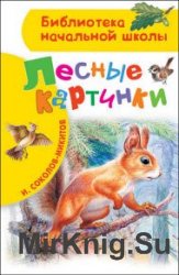 Лесные картинки