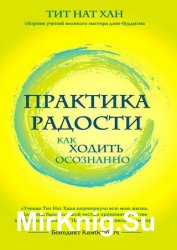 Практика радости. Как ходить осознанно