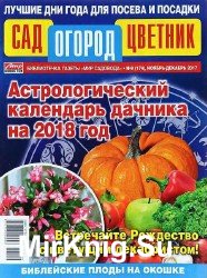 Сад огород цветник №9 2017