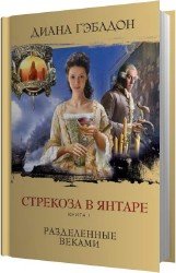 Стрекоза в янтаре. Книга 1. Разделенные веками (Аудиокнига)