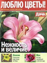 Люблю цветы! №6 2018