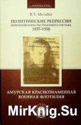 Политические репрессии командно-начальствующего состава 1937-1938. Амурская Краснознаменная военная флотилия