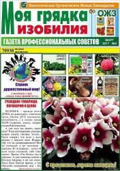 Моя грядка изобилия №3 2017