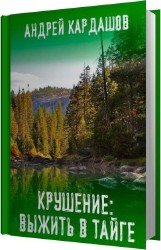 Крушение: Выжить в Тайге (Аудиокнига)