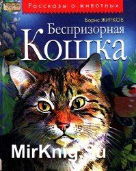 Беспризорная Кошка