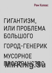 Гигантизм, или Проблема Большого. Город-генерик. Мусорное пространство