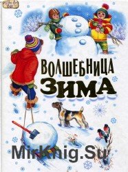 Волшебница зима