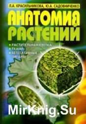 Анатомия растений. Растительная клетка, ткани, вегетативные органы