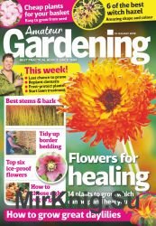 Amateur Gardening - 19 January 2019