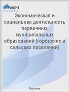 Экономическая и социальная деятельность первичных муниципальных образований 