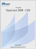 Практика ЭВМ - CSS 