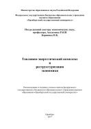 Топливно-энергетический комплекс и реструктуризация экономики 