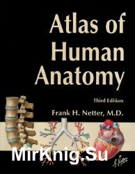 Atlas of Human Anatomy