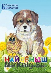 Найденыш (Аудиокнига)