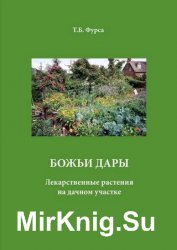 Божьи дары. Лекарственные растения на дачном участке