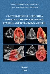 Ультразвуковая диагностика морфологических нарушений крупных магистральных артерий