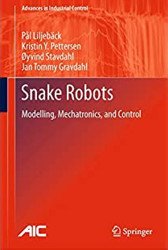 Snake Robots. Modelling, Mechatronics, and Control