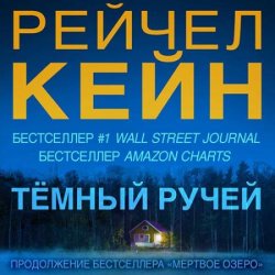 Тёмный ручей (Аудиокнига)